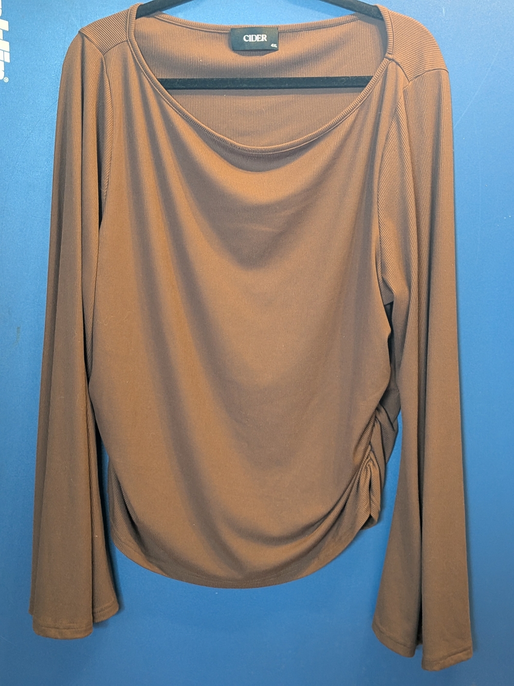 Cider Brown Long Sleeve Ruched Side Scoop Neck Top